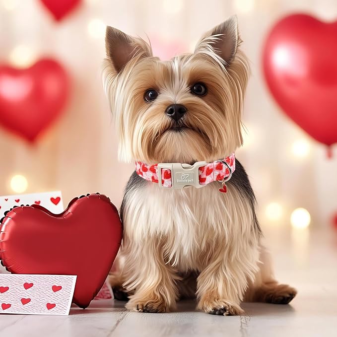 Valentines Dog Collar for Small Dogs - Image 2