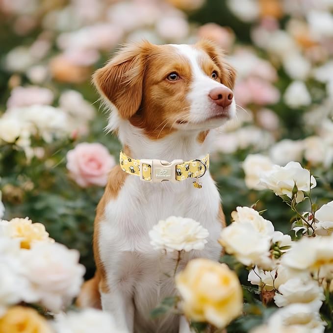 Bee & Daisy Dog Collar for Small Dogs - Image 2