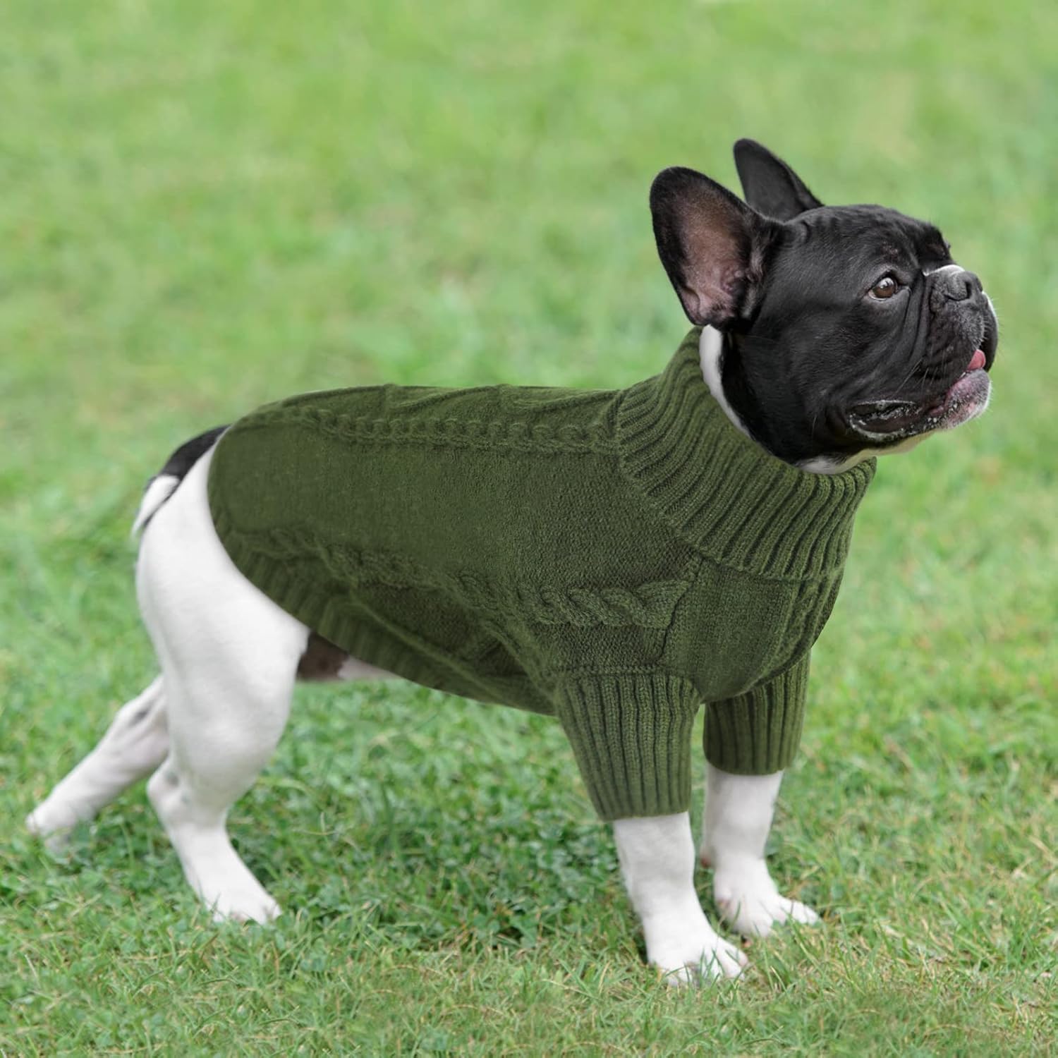 Queenmore Dog Sweater for Large Size Pet,Pitbull Dog Sweater,XXL Doggy Sweater for Labrador Retriever,Cold Weather Warm Knitted Pet Sweatershirt for Boy Girl Dogs (Army Green,2XL)