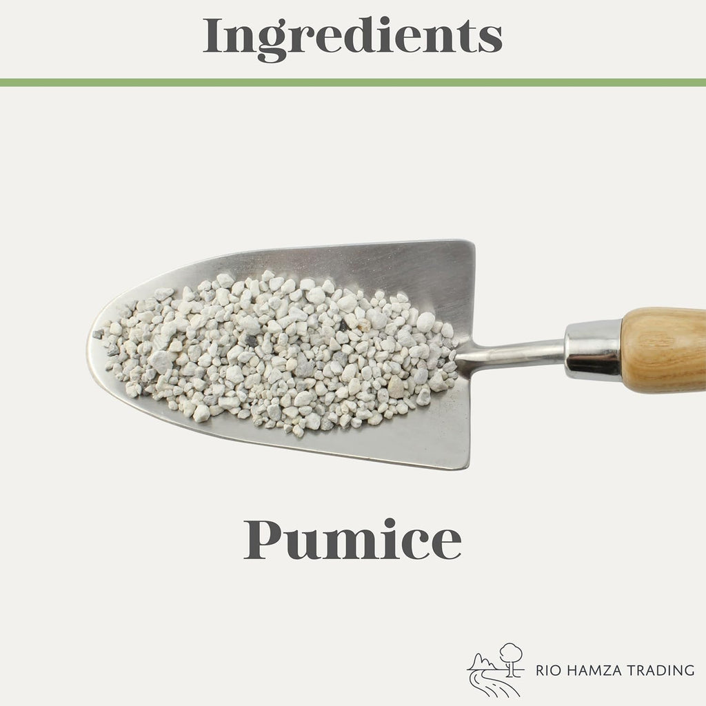 Horticultural Bonsai Pumice Soil Amendment (2 LB), Supplement for Bonsai and Cactus Indoor Plants