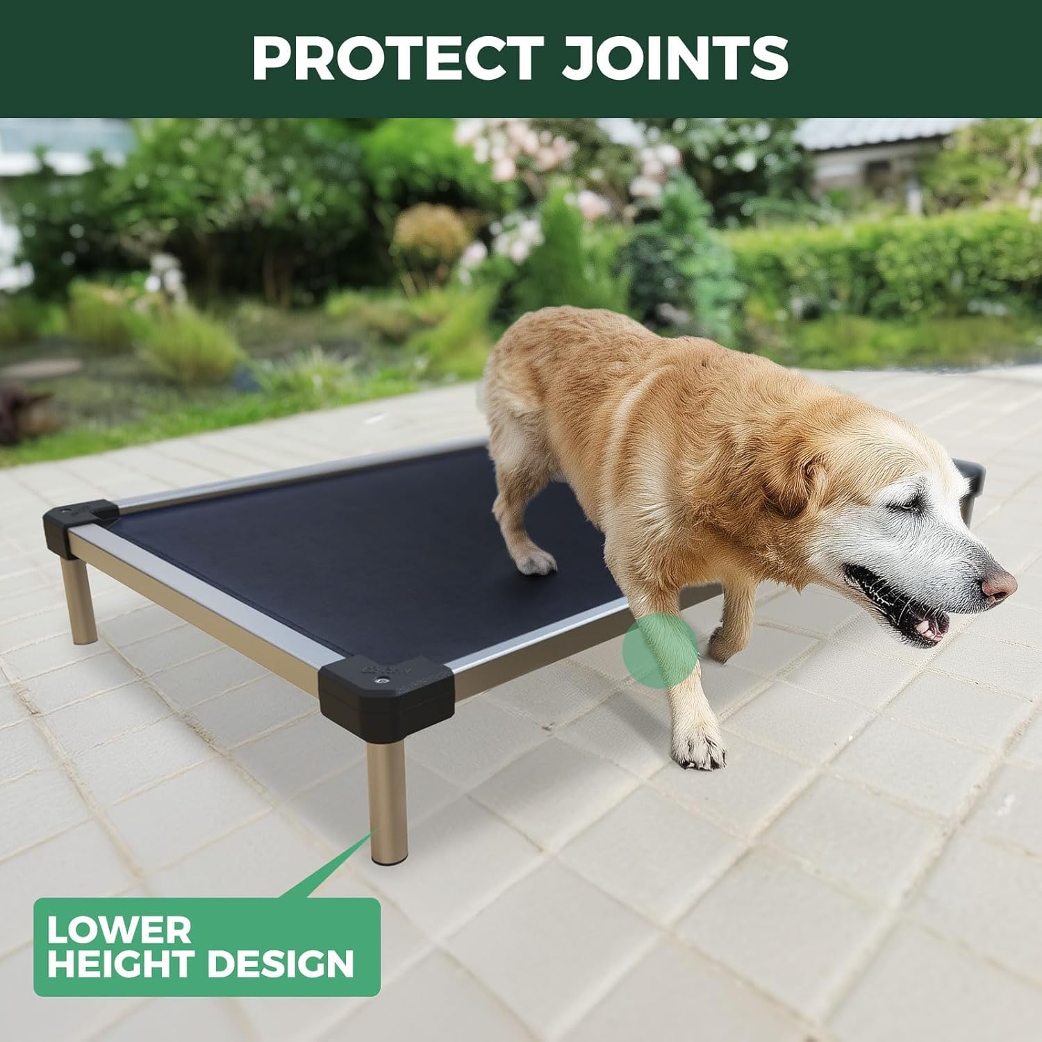 FXW TitanNest Chew-Proof Elevated Dog Bed, Raised Cot for Indoor/Outdoor/Camping Use, Durable & Waterproof Cooling Pet Bed for Large Dogs, 47.0" L x 29.0" W x 7.3" H, Black