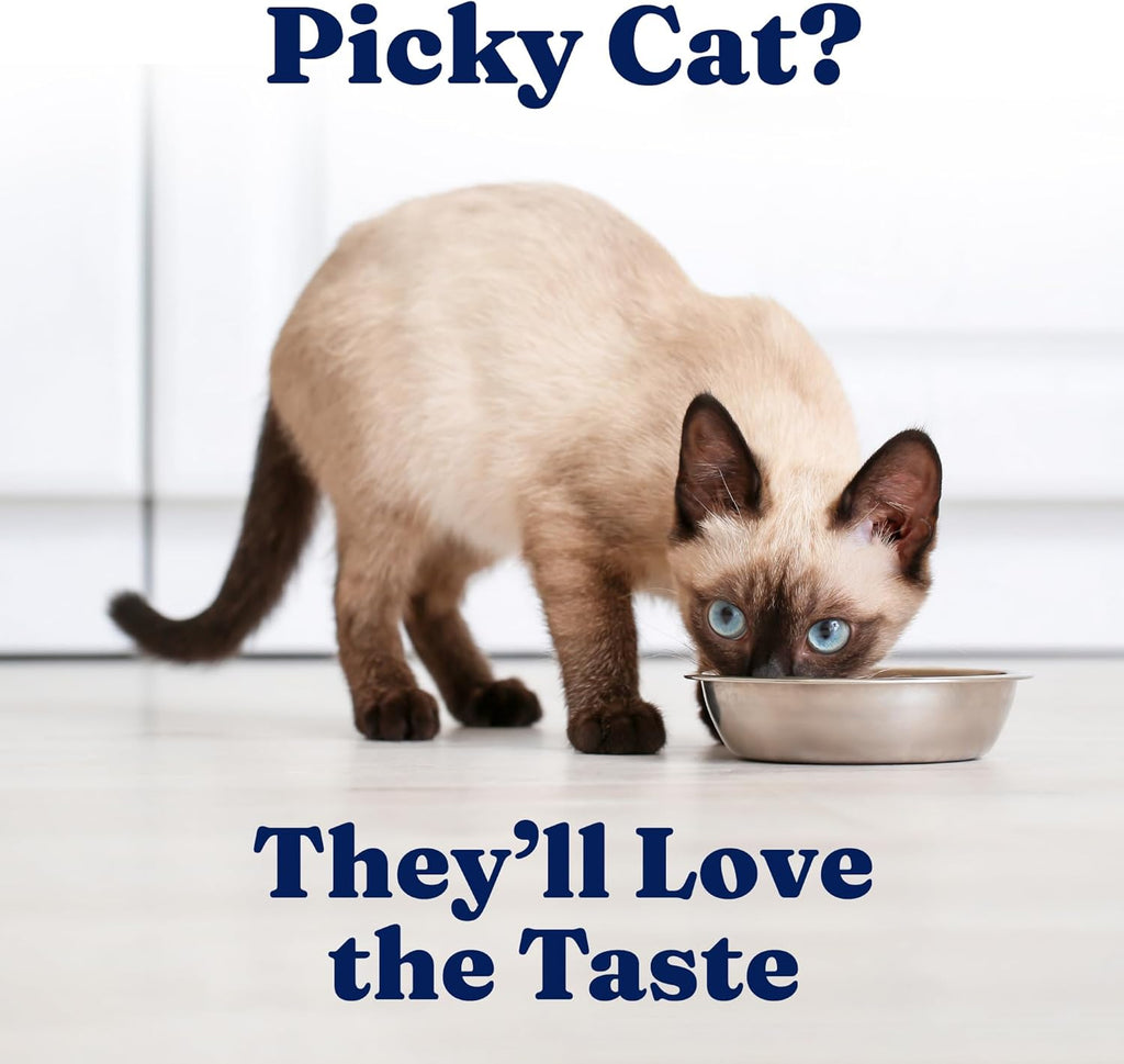 Solid Gold Wet Cat Food Pate for Indoor Cats - Healthy Canned Cat Food Pate w/Real Chicken, Omega Fatty Acids, Vitamins & Minerals - Grain Free & Gluten Free Can Meals for Cats & Kittens - 24ct/3oz