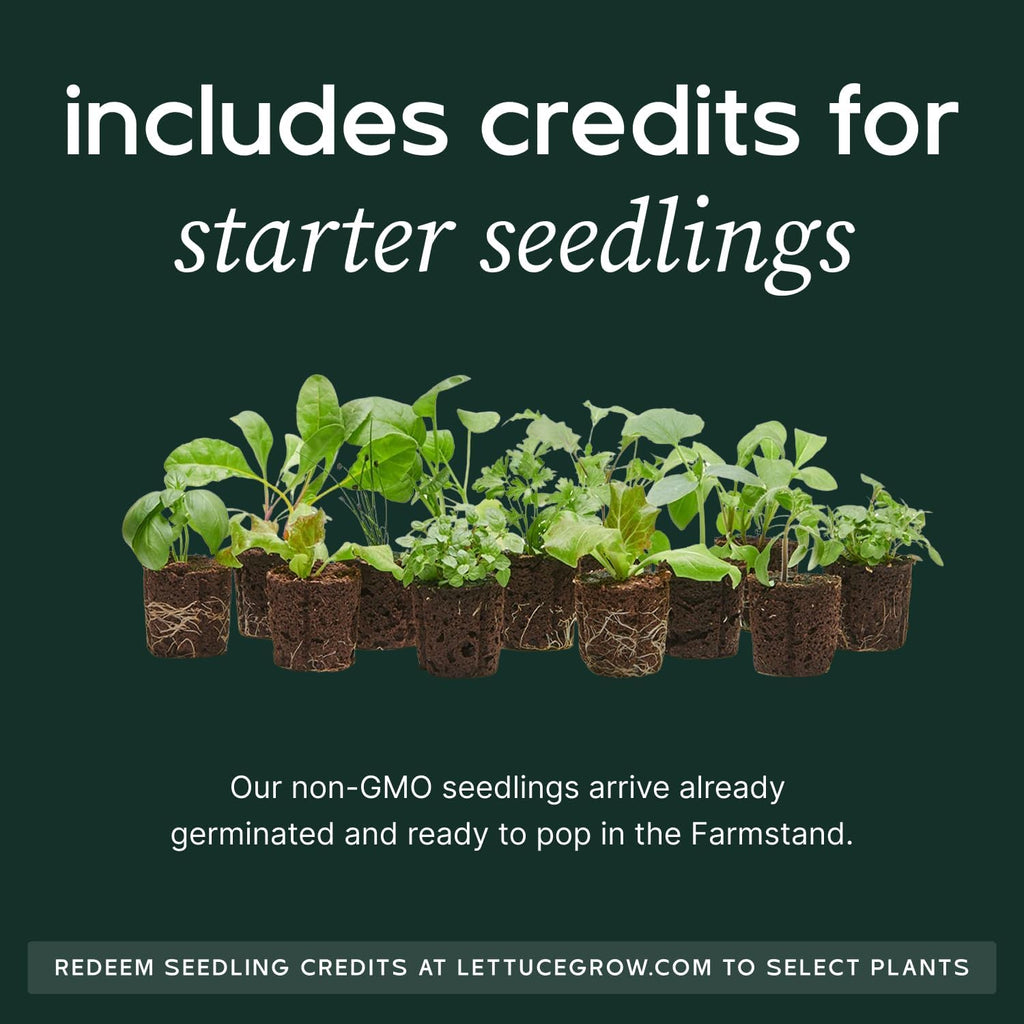 Farmstand Starter Kit with Glow Rings and 30 Seedling Credits | Family Hydroponic Growing System Kit | Vertical Garden Planter Tower | 5ft 5in Tall