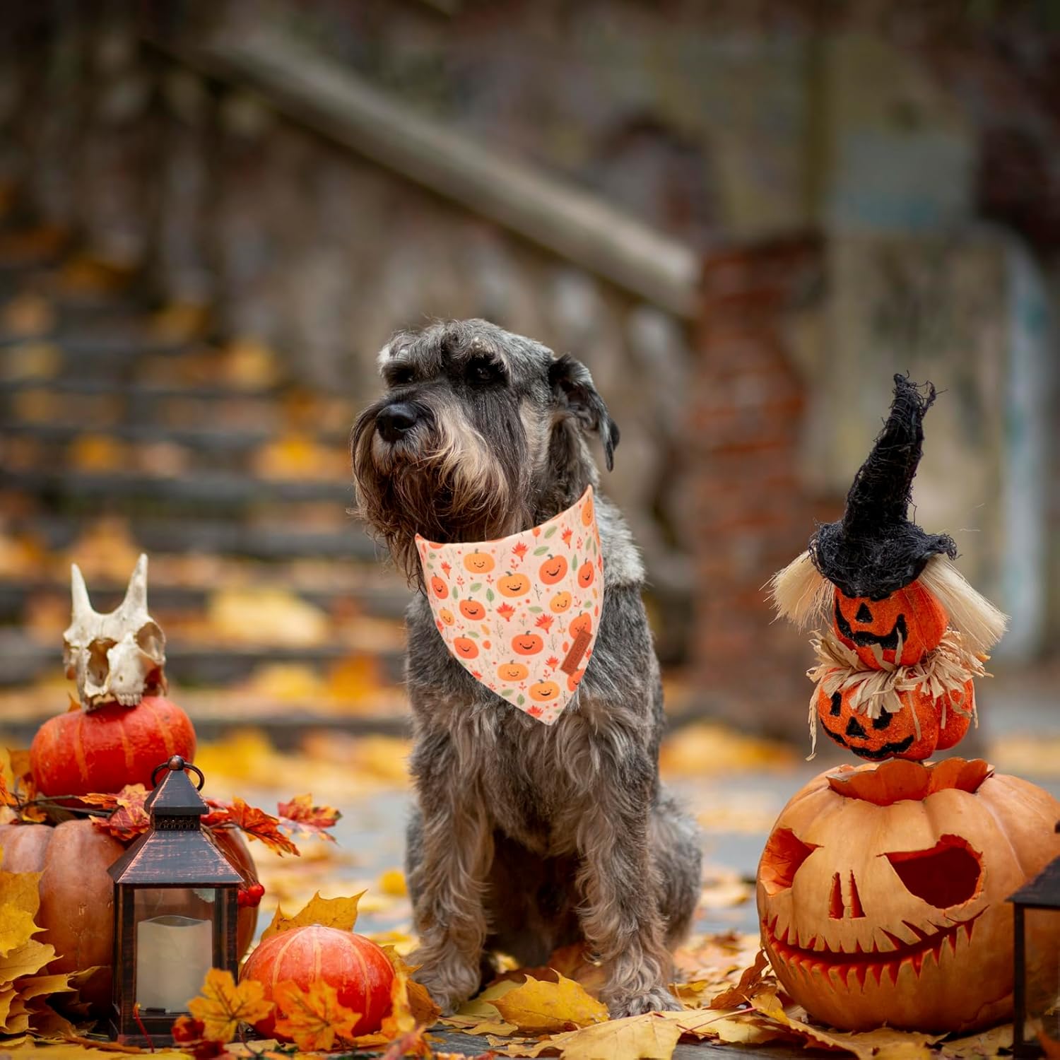 PTDECOR Halloween Dog Bandana, Ghost Pumpkin Design Reversible Holiday Dog Scarf, Triangle Halloween Bandanas for Small Dogs Puppies Cats(Small)