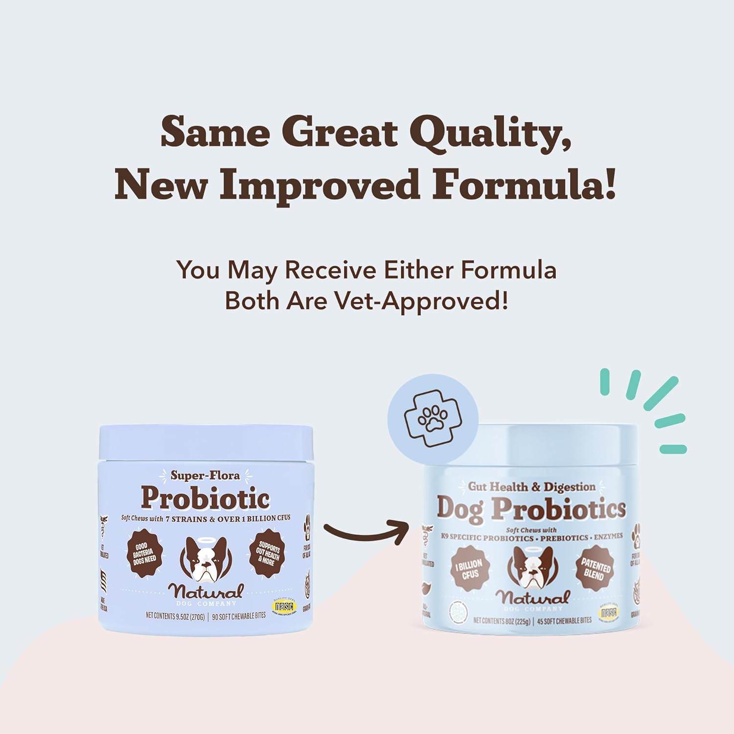 Natural Dog Company Gut Health & Probiotic Chews for Dogs (45 Ct), Prebiotics, Digestive Enzymes & Canine Specific Probiotics for Digestion, Gas, Loose Stool & Immune System Support, 1 Chew Daily