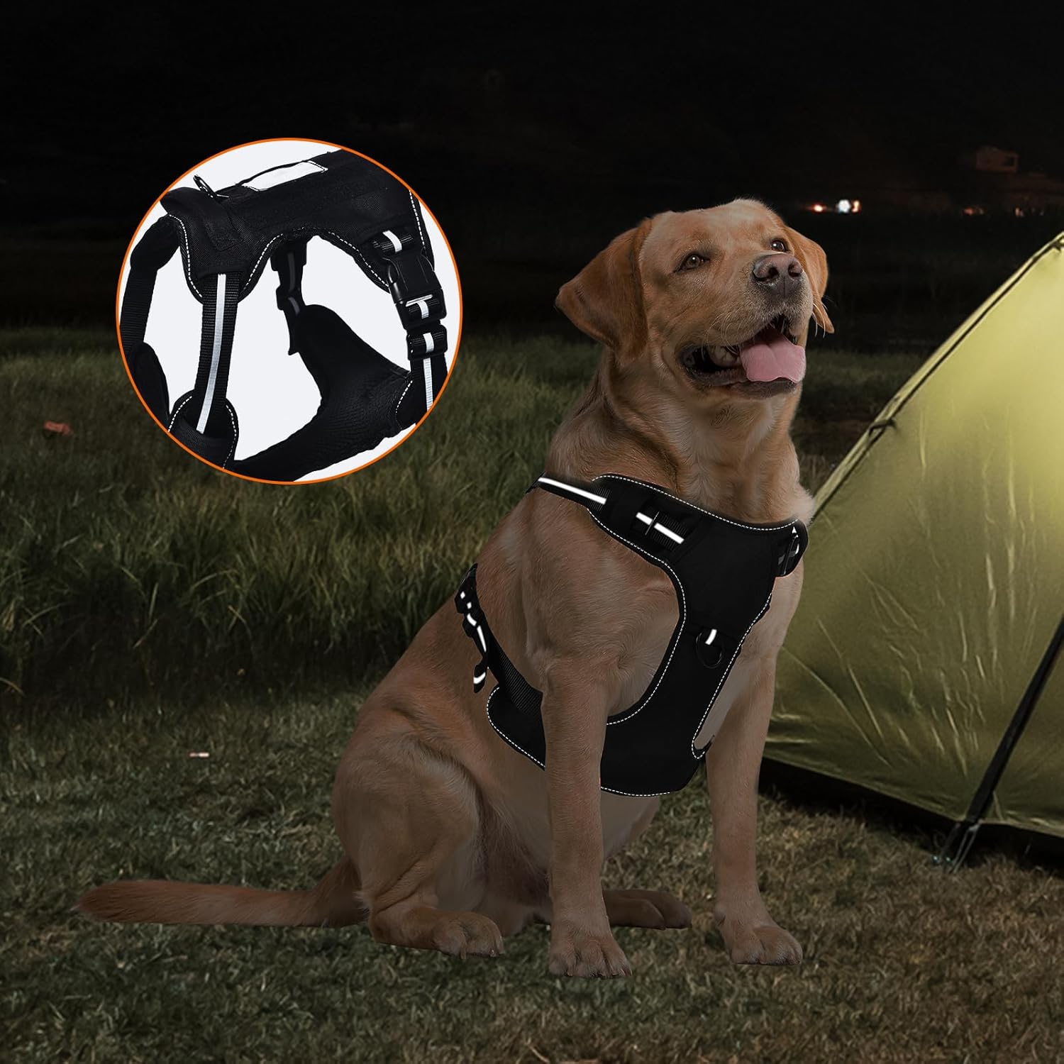 Amazon Basics No Pull Dog Harness, Adjustable Front Clip, Tactical Vest, Medium, Black
