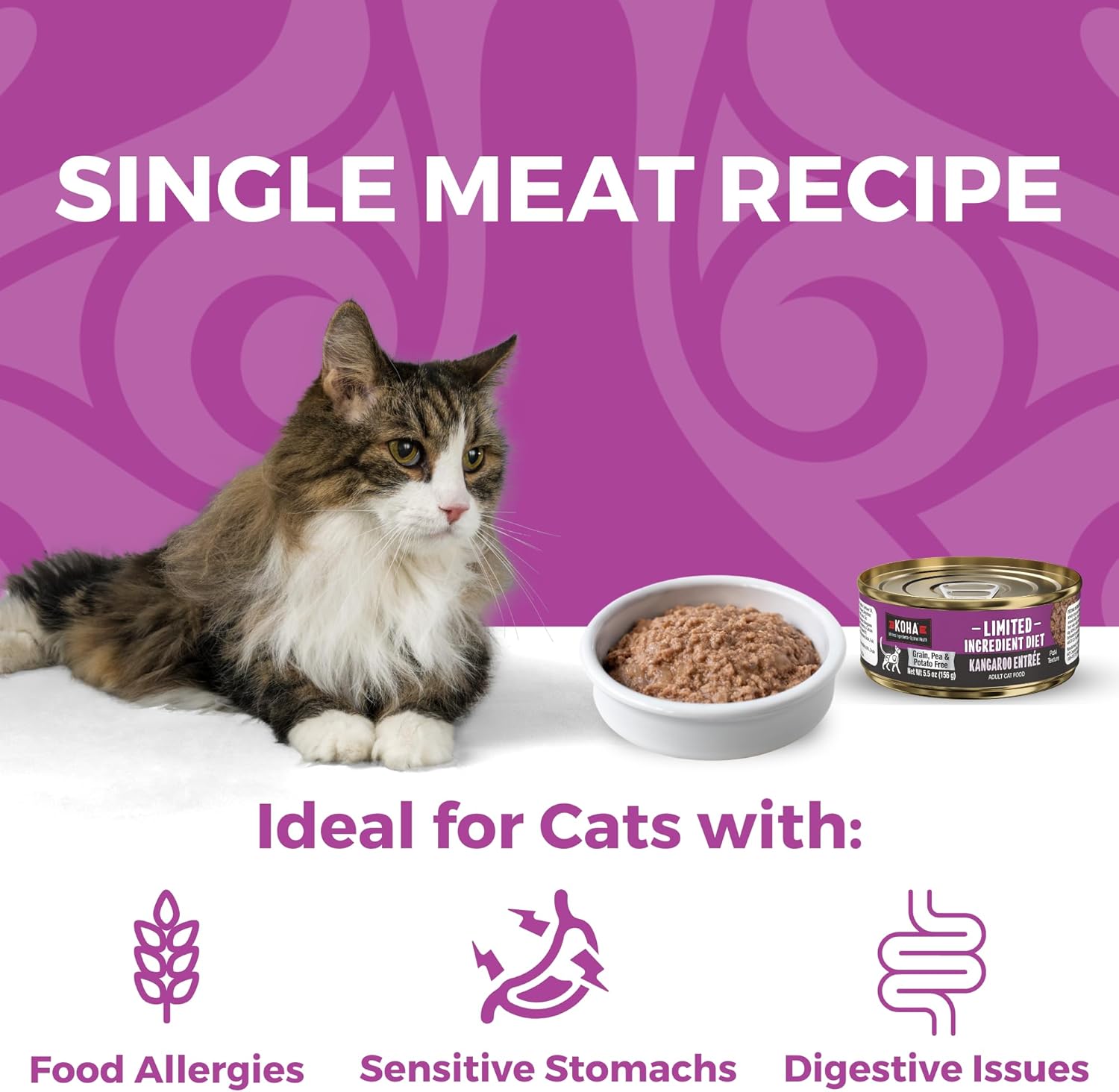 KOHA Limited Ingredient Diet Kangaroo Pate for Cats - Single Meat Cat Food for Sensitive Stomachs - Pate Kangaroo Cat Food with No Fillers, 5.5 oz - Trial Pack (3 Cans)