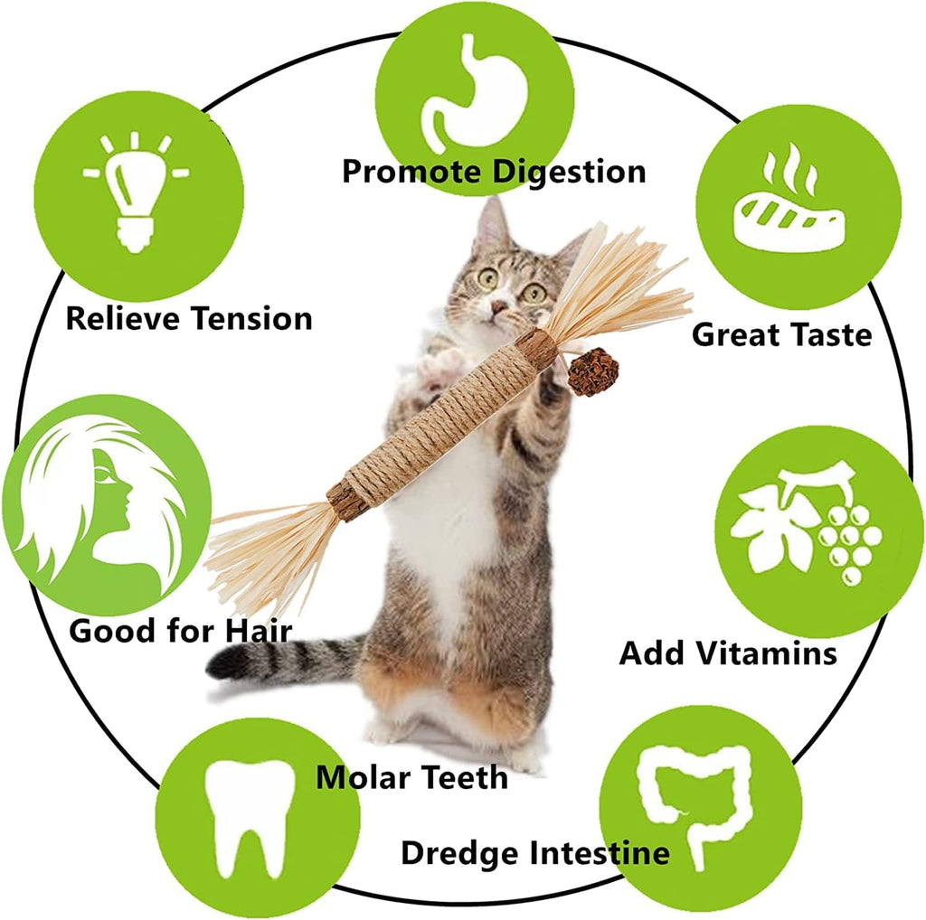 Cat Toys 21Pack Silvervine Chew Stick Kitten Treat Catnip Toy Kitty Natural Stuff Catnip for Cleaning Teeth Indoor Dental Snack Interactive