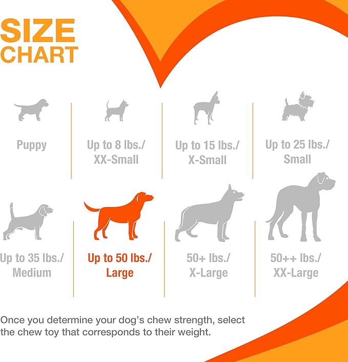 Nylabone Original Bone Power Chew Toy - Image 6