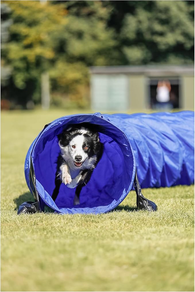 Trixie Dog Agility Tunnel - Image 2