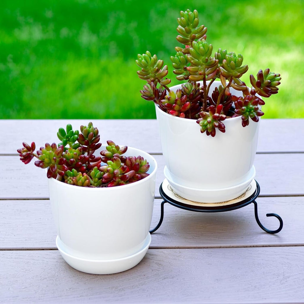 50 Pack 4 Inch Plant Pots Bulk Small Plastic Planters Pots with Drainage Holes Flower Pot for Succulent, Cactus, Herb, African Violet (50pcs-White, 4Inches)
