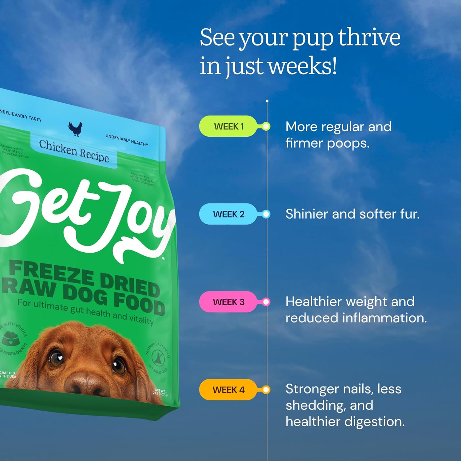 Get Joy Gut Health Fresh Freeze Dried Raw Meal, Chicken Recipe, 32 Ounce Bag, Dog Food for Dogs of All Breeds and Life Stages, PhD Animal Nutritionist Formulated, Made in USA