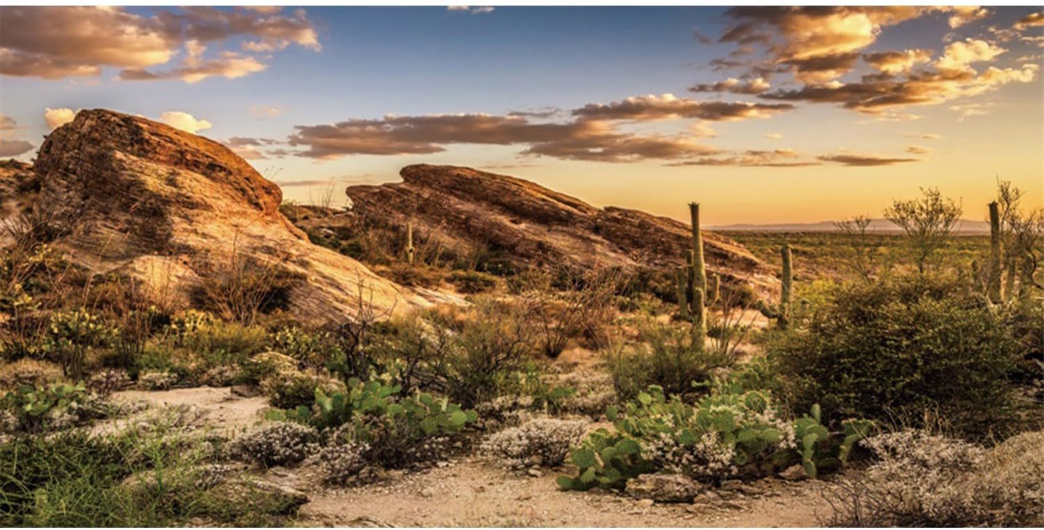 AWERT Reptile Habitat Background Blue Sky Oasis Cactus Sun and Desert Terrarium Background 30x12 inches Polyester Background