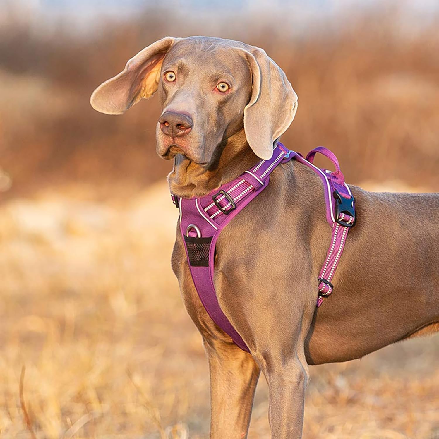 TRUE LOVE Dog Harness No Pull Nylon Reflective Pet Harness Adjustable Comfortable Control Step-in Brilliant Colors Truelove TLH56512