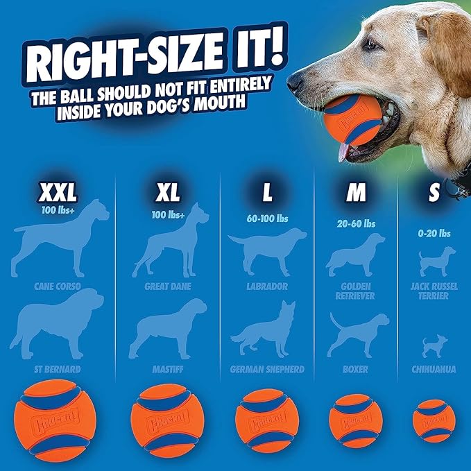 Chuckit! Ultra Tug Dog Toy, Small Fetch and Dog Ball Tug Toy - Image 6