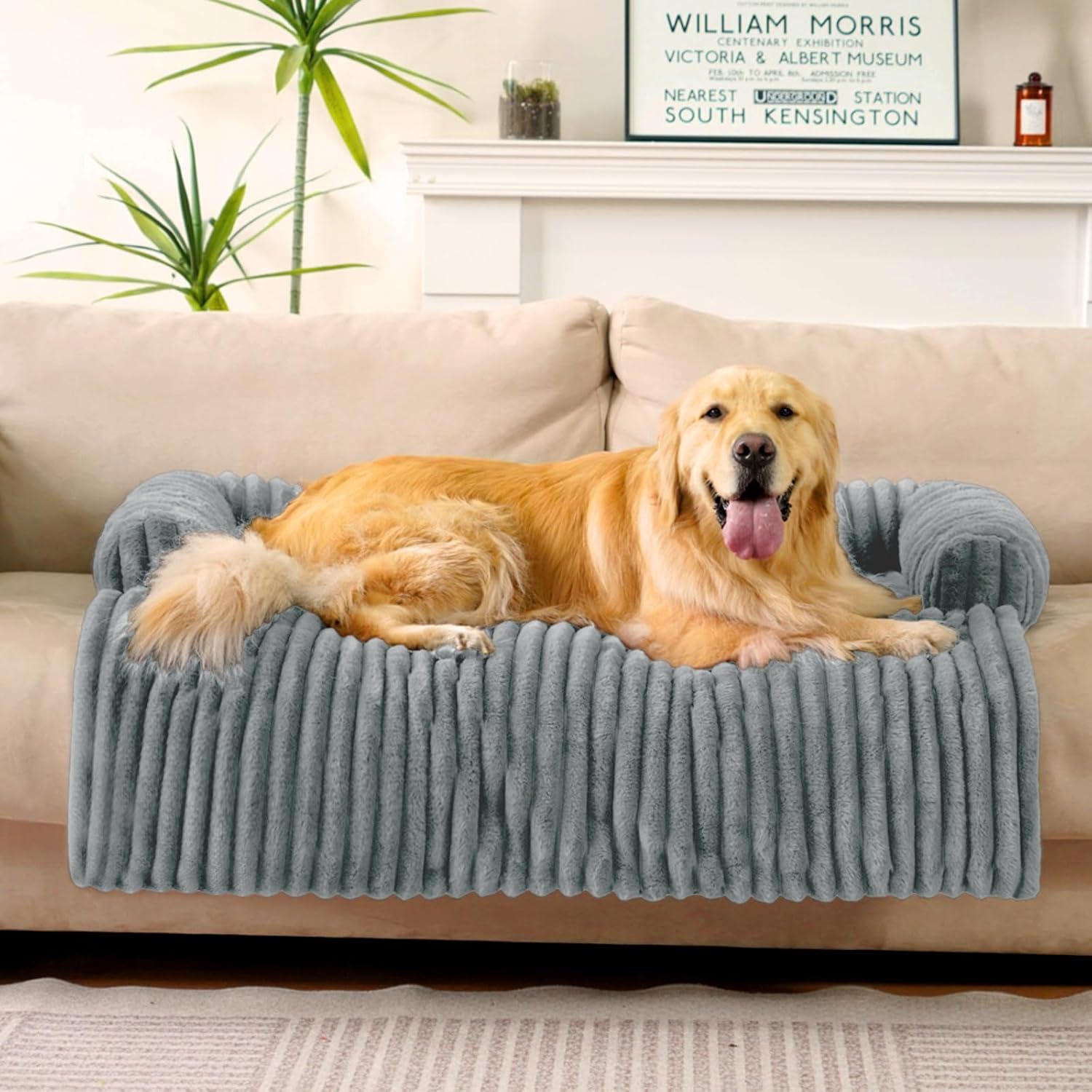 FUNNY FUZZY Pet Couch Cover for Sofa, Calming Dog Bed for Couch, Fluffy Plush Dog Couch Mat for Furniture Protector for Large Medium Small Pets, 47×37 in, Mist Grey