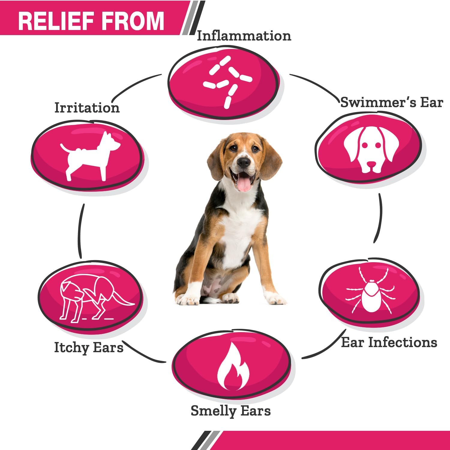 All Natural Ear Flush for Dogs & Cats, Ketoconazole & Chlorhexidine Ear and Vet-Strength Ear wash with a Light Scent (USA) (Ketoconazole & Chlorhexidine Ear Flush, 12 oz)
