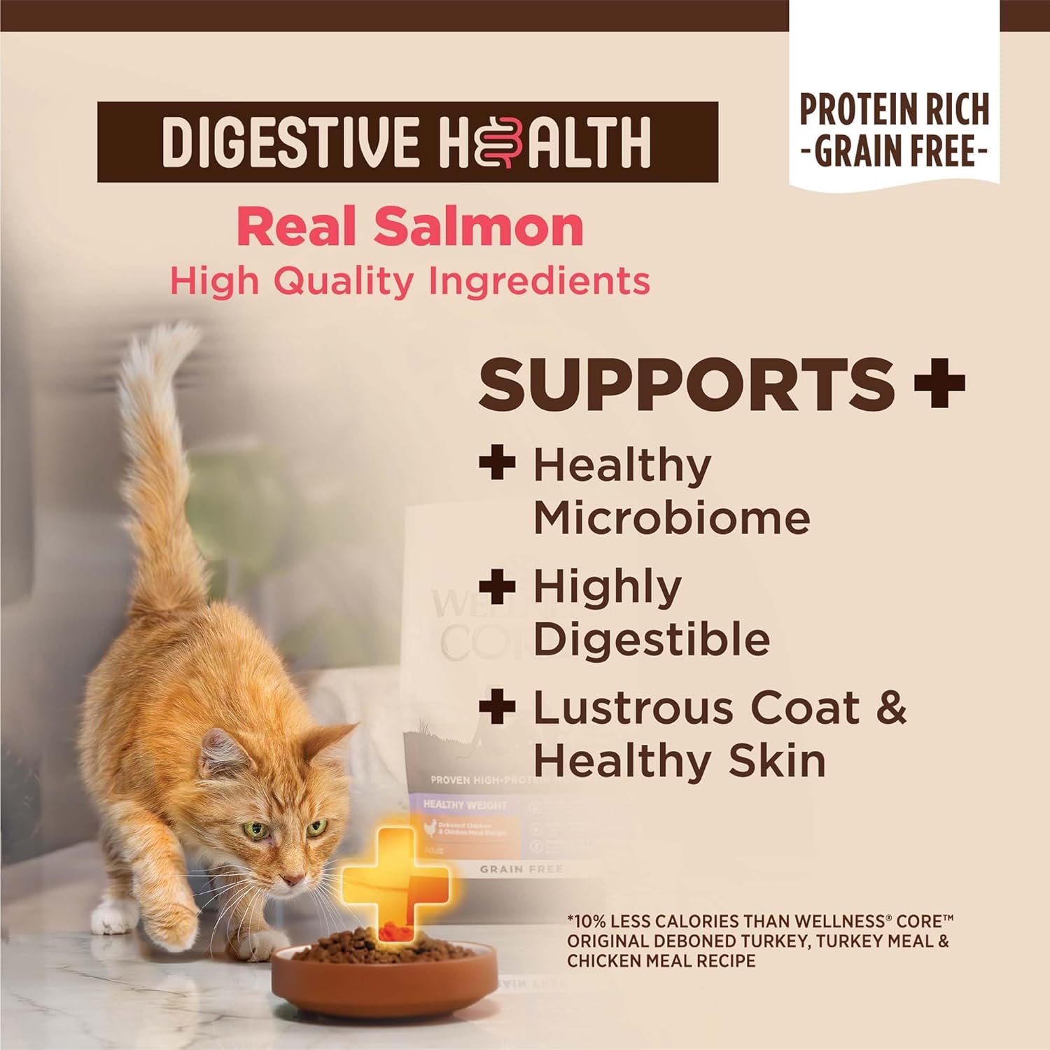 Wellness CORE+ Adult Dry Cat Food for Indoor and Outdoor Cats, Wholesome Grains, Natural, Digestive Health Salmon & Rice (11 Pound Bag)
