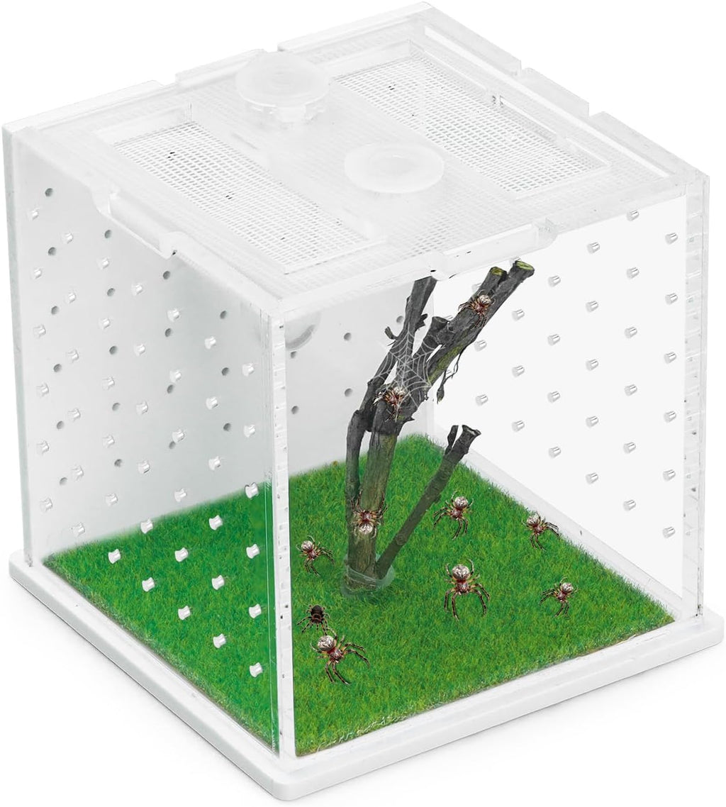 Acrylic Jumping Spider Enclosure, 2.95×2.95×2.87in Transparent Reptile Terrarium, Versatile Tarantula Enclosure for Small Reptiles/Insects, Small Reptile Tank with Dropper, Jumping Spider Accessories