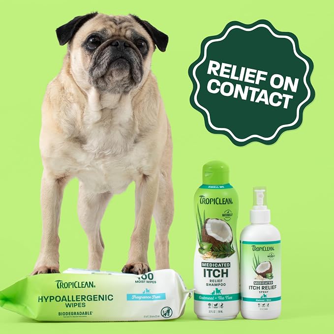 TropiClean Oatmeal & Medicated Itch Variety Pack, 3 Piece - Image 4