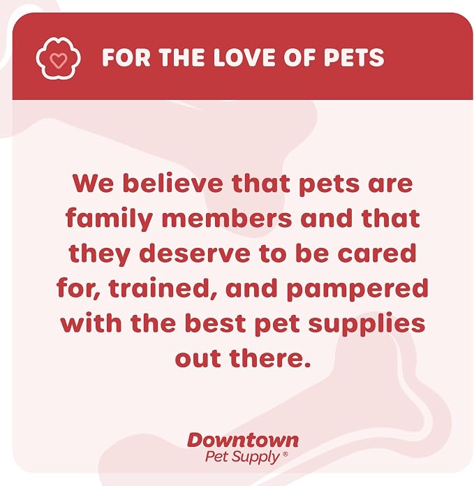Downtown Pet Supply Step in Dog Harness No Pull, Hunter Green - Image 8