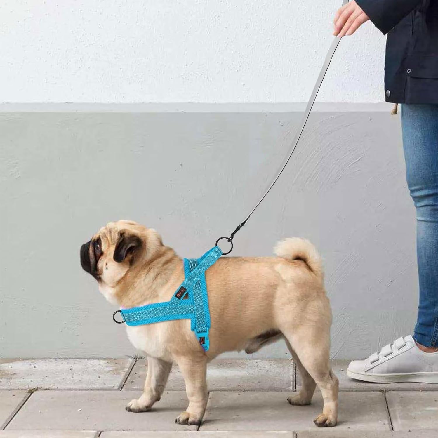 Didog No Pull Dog Harness with Breathable Mesh Padded, Full Reflective & Quick Fit Adjustable Vest Harness, Easy for Training Walking for Small & Medium and Large Dogs (Blue, L:Chest 26-32")