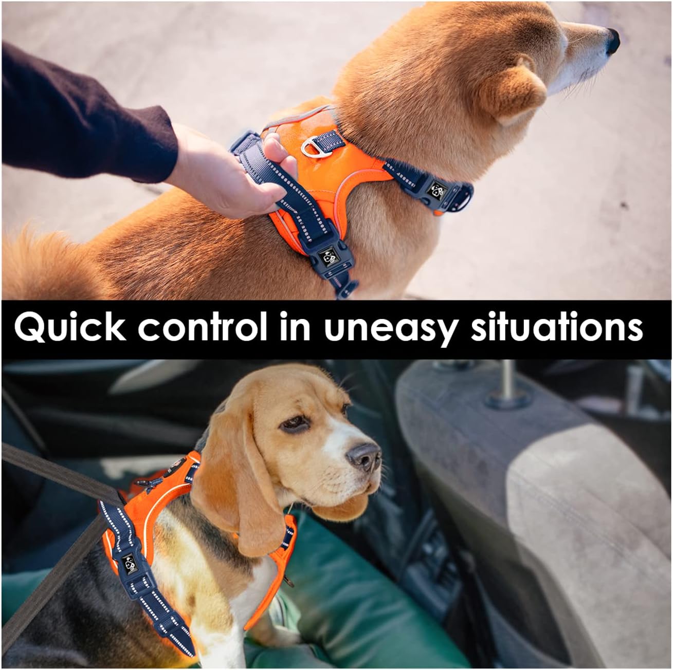 PHOEPET No Pull Dog Harness, Unique Colors Reflective Adjustable Dog Vest, with Soft Training Handle Metal Clips for Small Medium Large Dogs (Orange Base & Blue Straps,M)