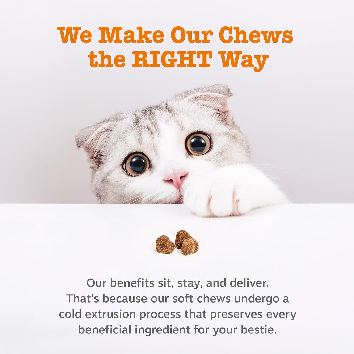 Zesty Paws Hairball Bites for Cats - Cat Furball Support - Functional Supplement with Omega 3 Fish Oil EPA & DHA + Zinc, Biotin & Psyllium Husk - Supports Gut & Skin Health - 60 Count