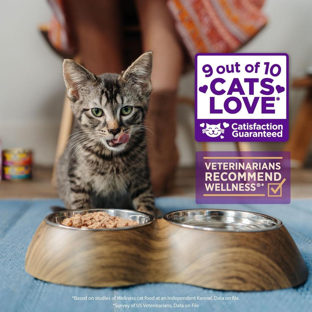 Wellness Healthly Indulgence Shreds Adult Wet Cat Food, Natural, Protein-Rich, Grain Free, 3 Ounce Pouch, 24 Pack, (Tuna & Shrimp)