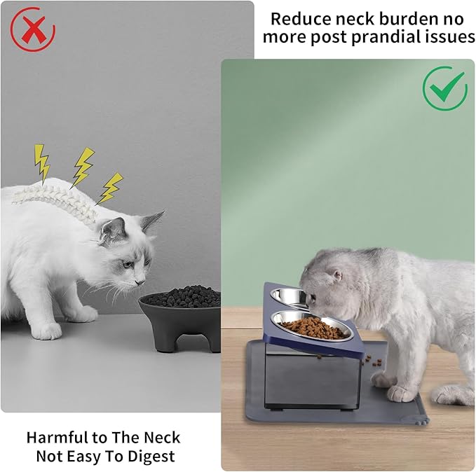 Upgraded Elevated Cat Bowls - Image 2