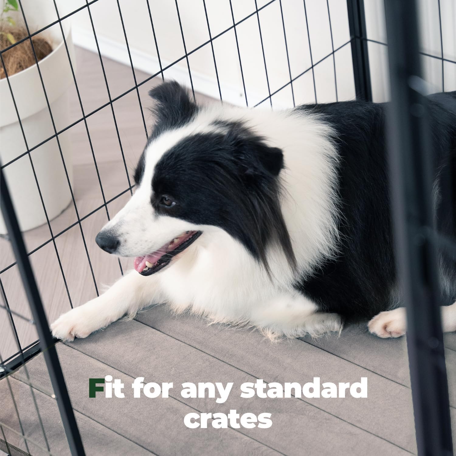BALANCE Dog Crate Pad, Dog Foam Crate Mat Kennel Pad, Washable Water-Resistant Pet Bed Flat Dogs Cage Mat for Small Dogs