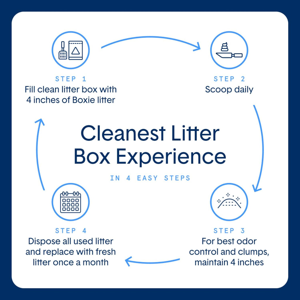 Boxie® Unscented 30 Day Natural Odor Control Cat Litter, 6.5lb Lightweight Plant Based Kitty Litter
