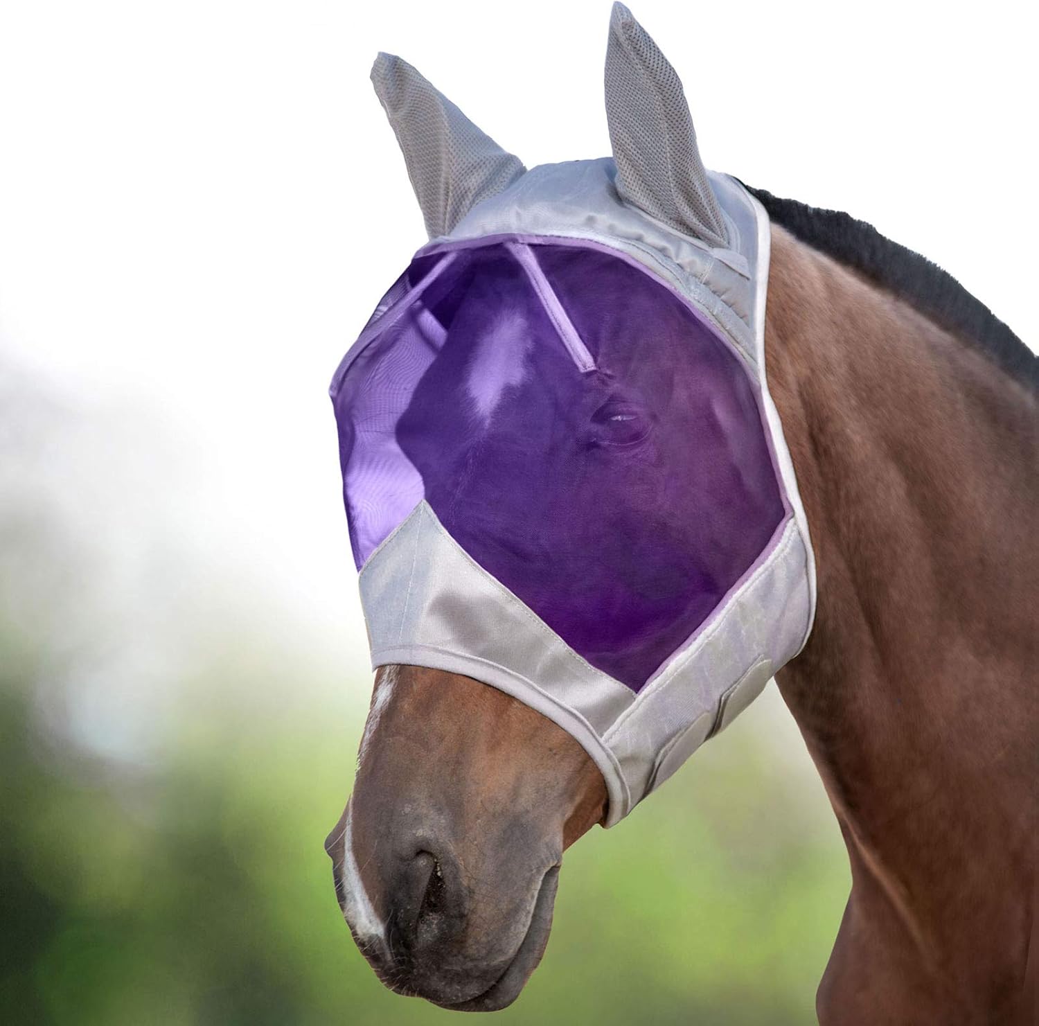 Harrison Howard CareMaster Horse Fly Mask Half Face with Ears Silver/Purple Retro Small Pony