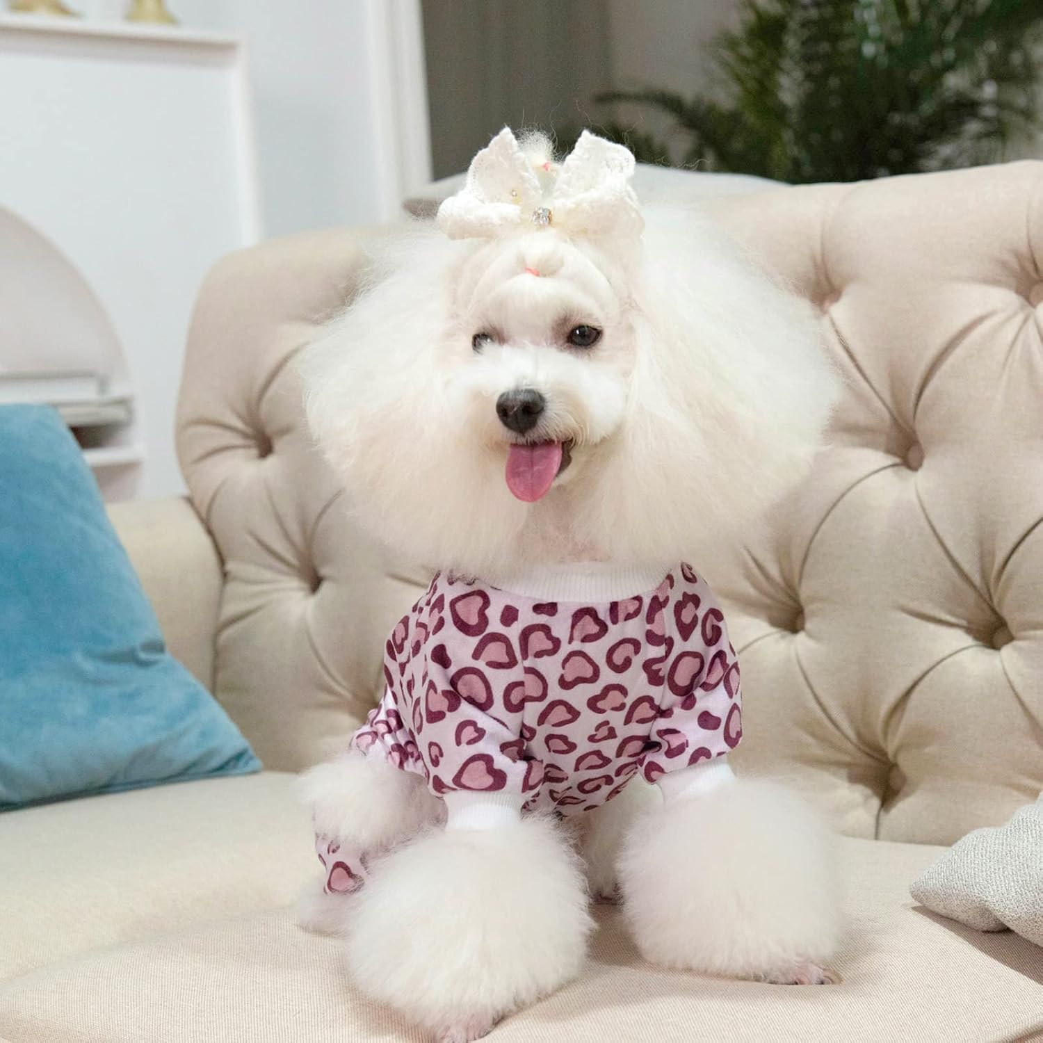CuteBone Dog Halloween Pajamas Puppy Onesies Small Dogs Soft Pjs Coat Cat Apparel Comfy Pet Christmas Clothes Outfit Doggie Bodysuit P226L