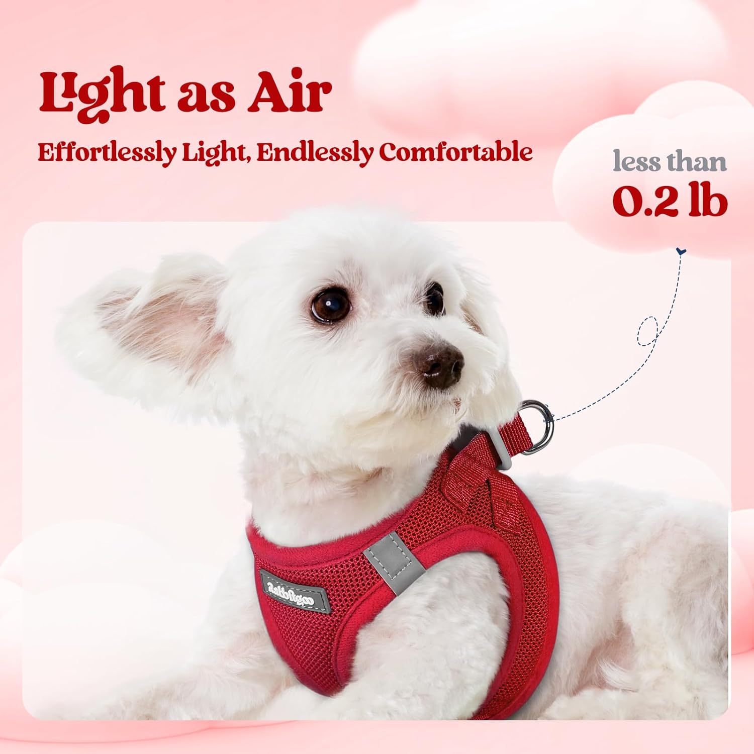 rabbitgoo Dog Harness Small Sized and Leash Set, Step in Soft Light Puppy Vest, Breathable Mesh Pet Harness, Reflective for Safe Easy Walking, Red M