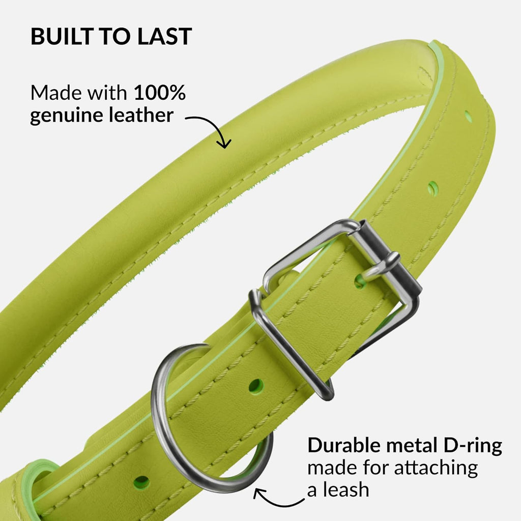 CollarDirect Rolled Leather Dog Collar, Soft Padded Round Puppy Collar, Handmade Genuine Leather Collar Dog Small Large Cat Collars 13 Colors (15-19 Inch, Lime Green Smooth)