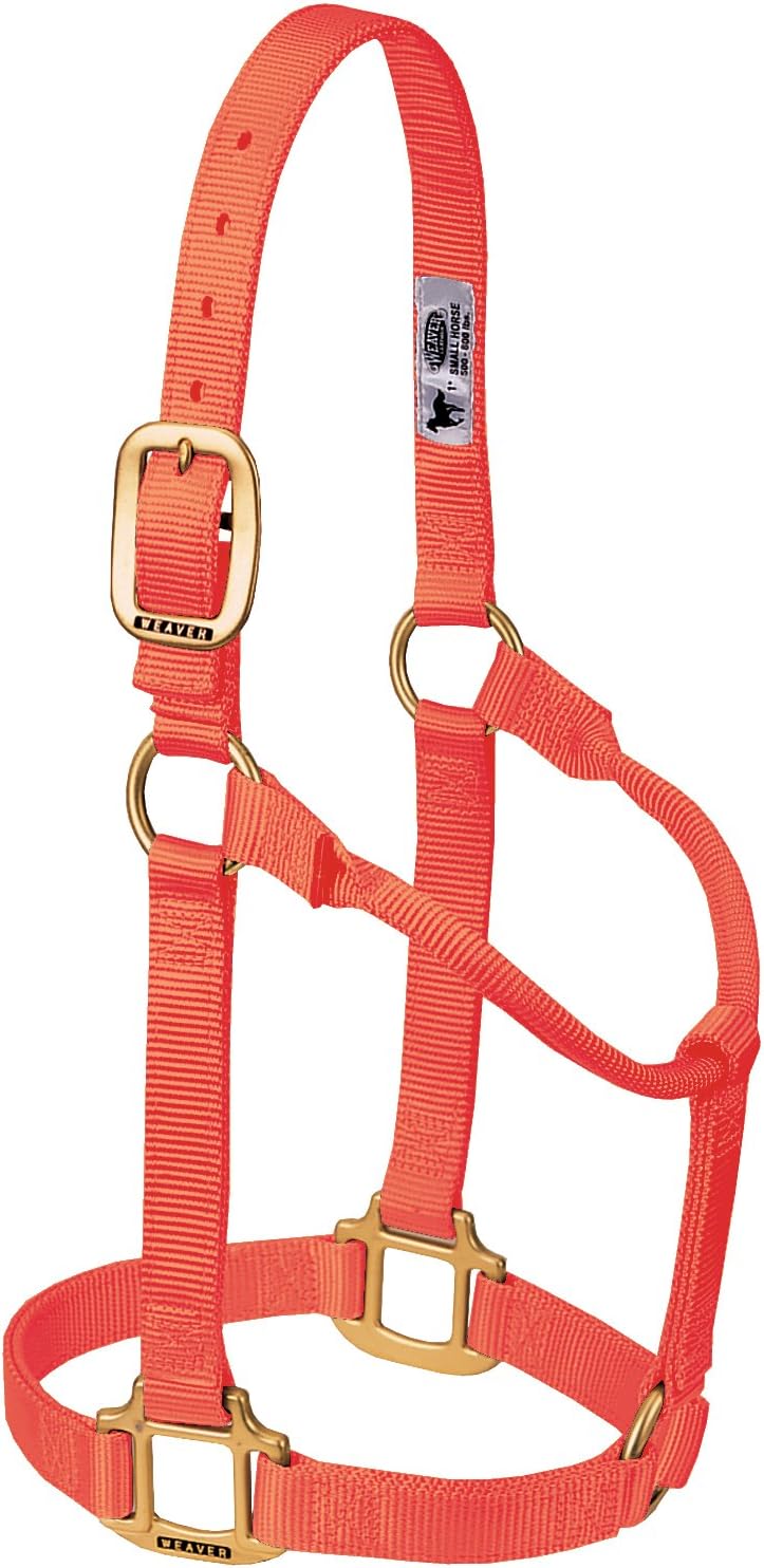 Weaver Equine Nylon Horse Halter, Triple-Ply Cheek Design, Original Non Adjustable Halters for Horses, Equine Tack,Average Size, Black