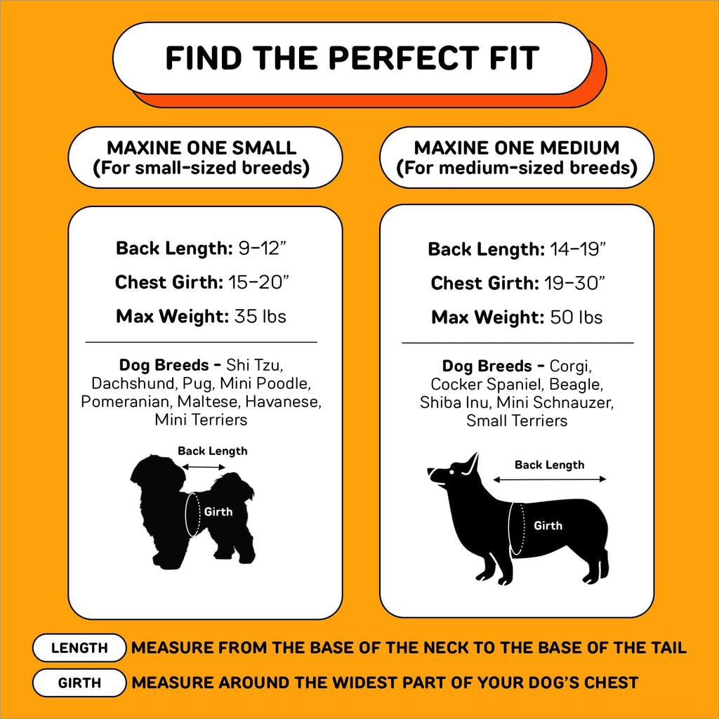 The Maxine One Medium Dog Carrier by Little Chonk | Dog Backpack Carrier for Medium Sized Breeds | Adjustable Front Facing Pet Carrier for Travel | Dog Hiking Backpack - Chonkcrete Gray