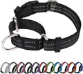 Martingale Dog Collar, Adjustable Nylon Reflective Collar by JOYEEIIOO