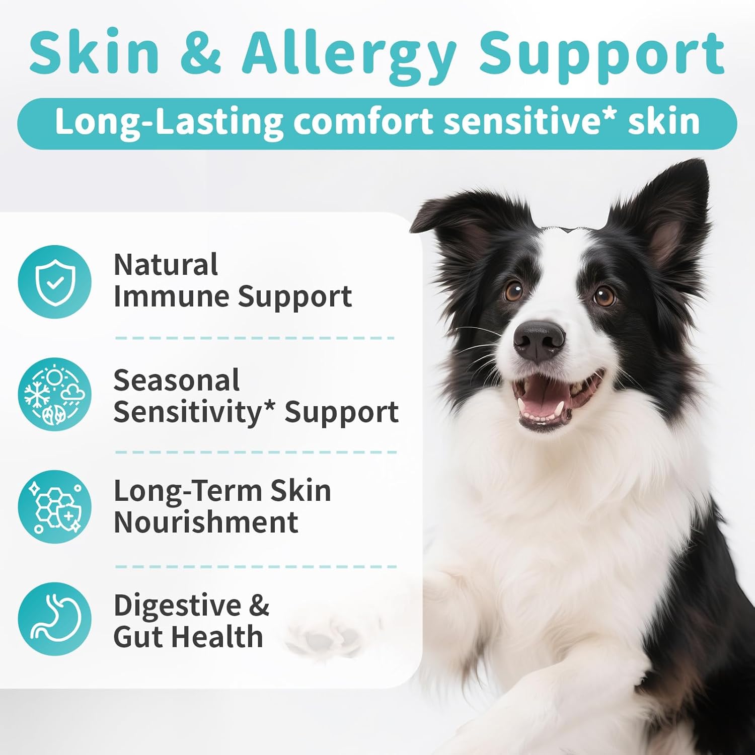Dog Skin & Allergy Chews - Dog Probiotics for Sensitive Skin Health Support - Allergy Relief - Support Seasonal Allergies, Immune & Gut & Digestive Health Supplement - Beef Flavor - 90 Count