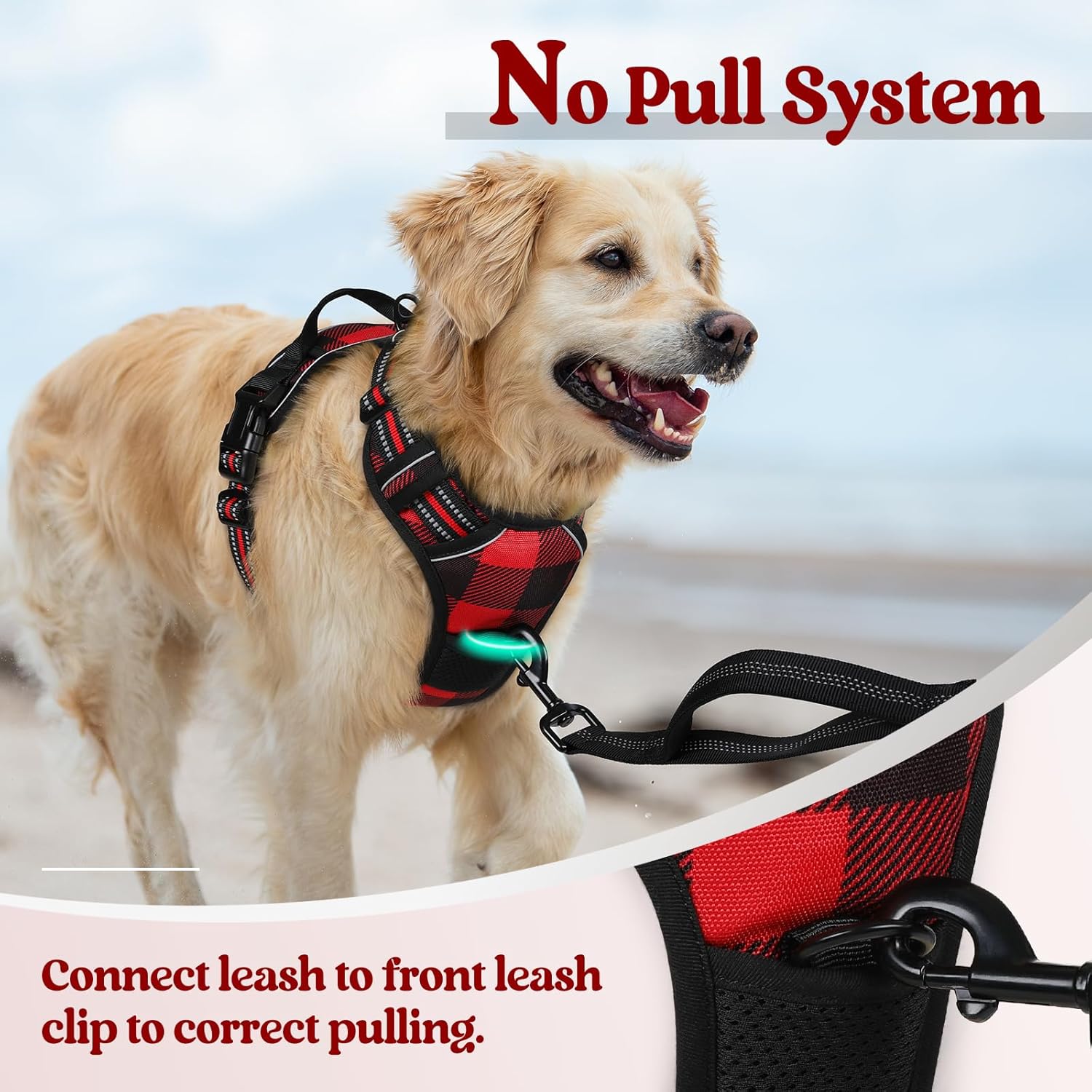 rabbitgoo Dog Harness No Pull with 2 Leash Clips, Adjustable Soft Padded, Reflective Oxford No Choke Pet Vest with Easy Control Handle for Small Dogs, Red Plaid, S