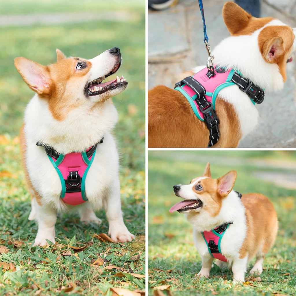 PHOEPET 2019 Upgraded No Pull Dog Harness, Reflective Adjustable Vest, with a Training Handle + 2 Metal Leash Hooks+ 3 Snap Buckles +4 Slide Buckles(M, Pink)