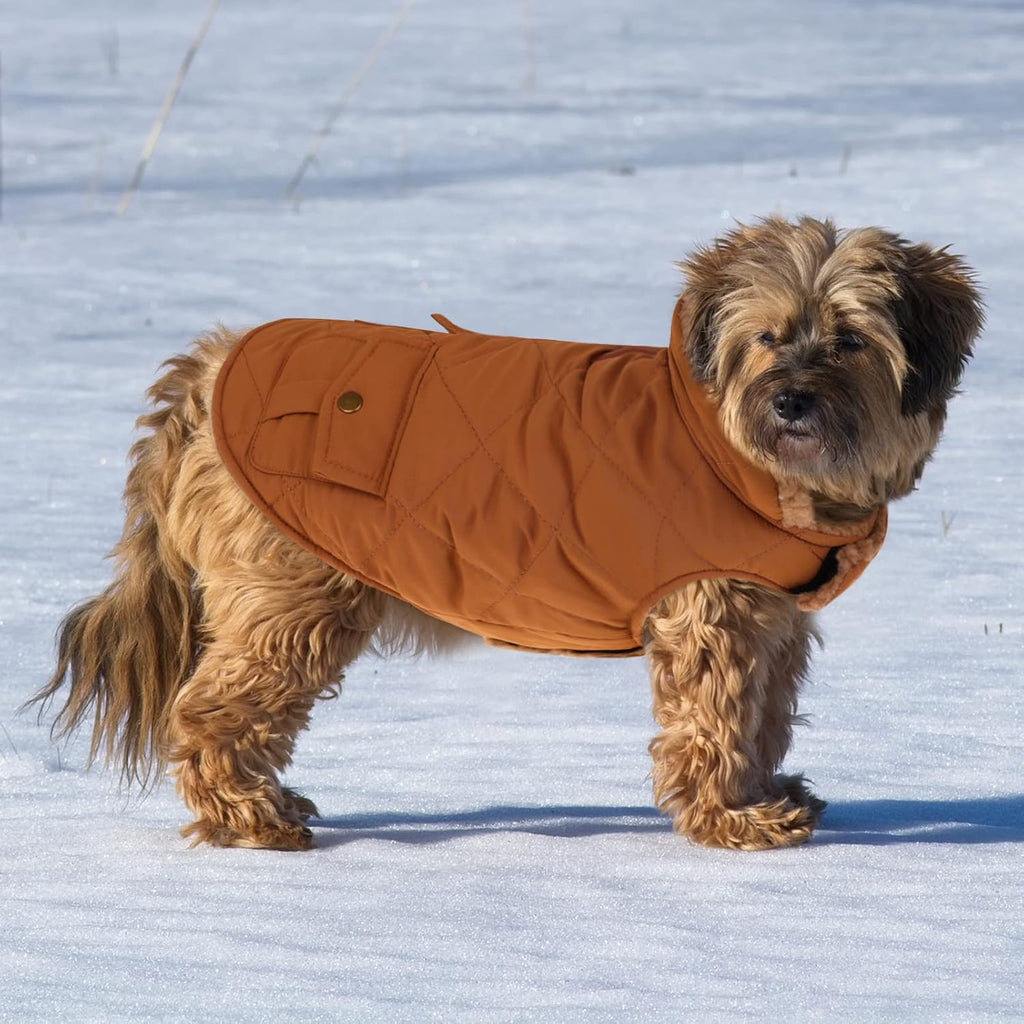 Queenmore Warm Dog Coat, Cold Weather Puffer Jacket with Ultra Thick Plush Lining and Storage Pockets (Brown, Large)