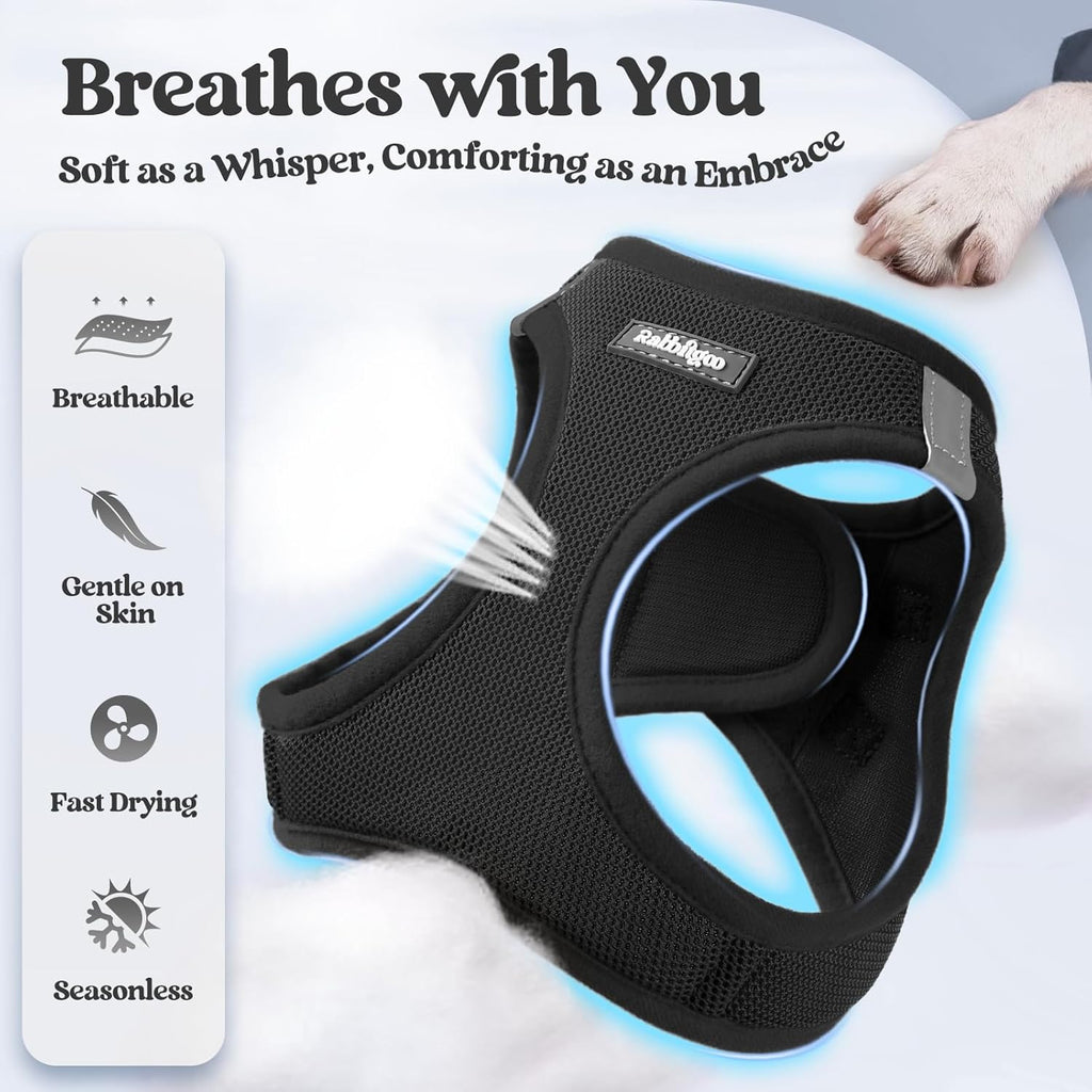 rabbitgoo Dog Harness Small Sized and Leash Set, Step in Soft Light Puppy Vest, Breathable Mesh Pet Harness, Reflective for Safe Easy Walking, Black M