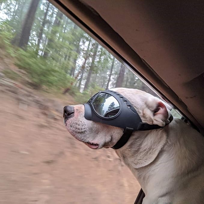 Namsan Dog Goggles for Large Dogs, Wide Snout & Soft Frame, Tactical Driving - Image 6