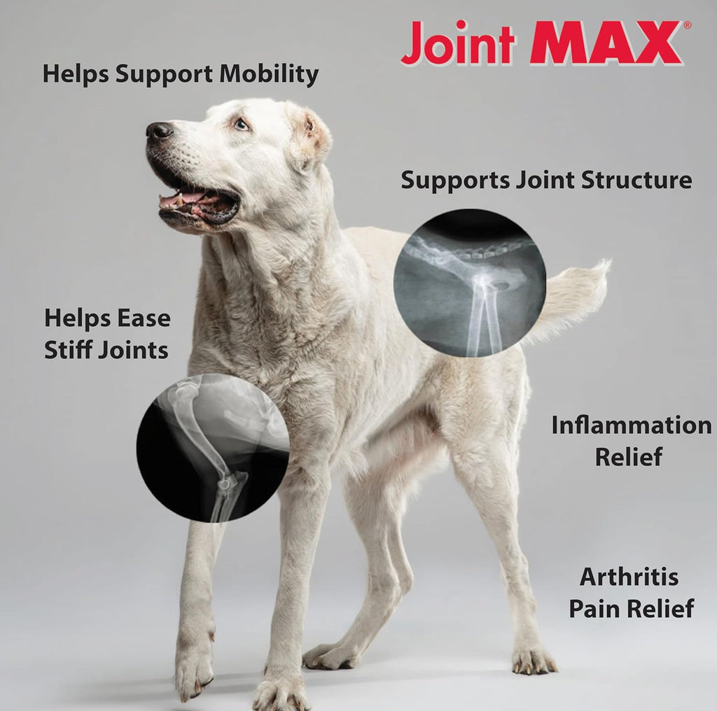 Triple Strength Hypo-Allergenic Soft Chews for Dogs - Hip and Joint Support Supplement with Glucosamine, Chondroitin, & MSM - Made in The USA - 120 Soft Chews
