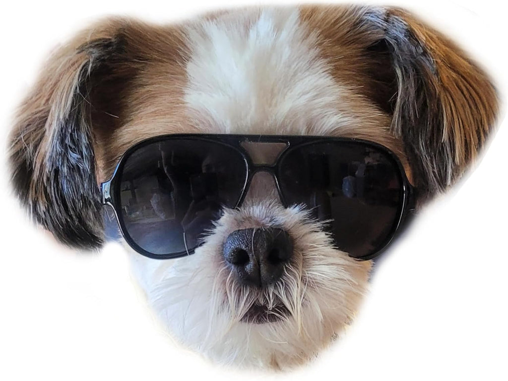 G029 Dog Cat Pet Aviator Pilot Sunglasses Glasses for Small Breeds up to 15lbs (2-Pack Black + Pink-Pink Mirror)