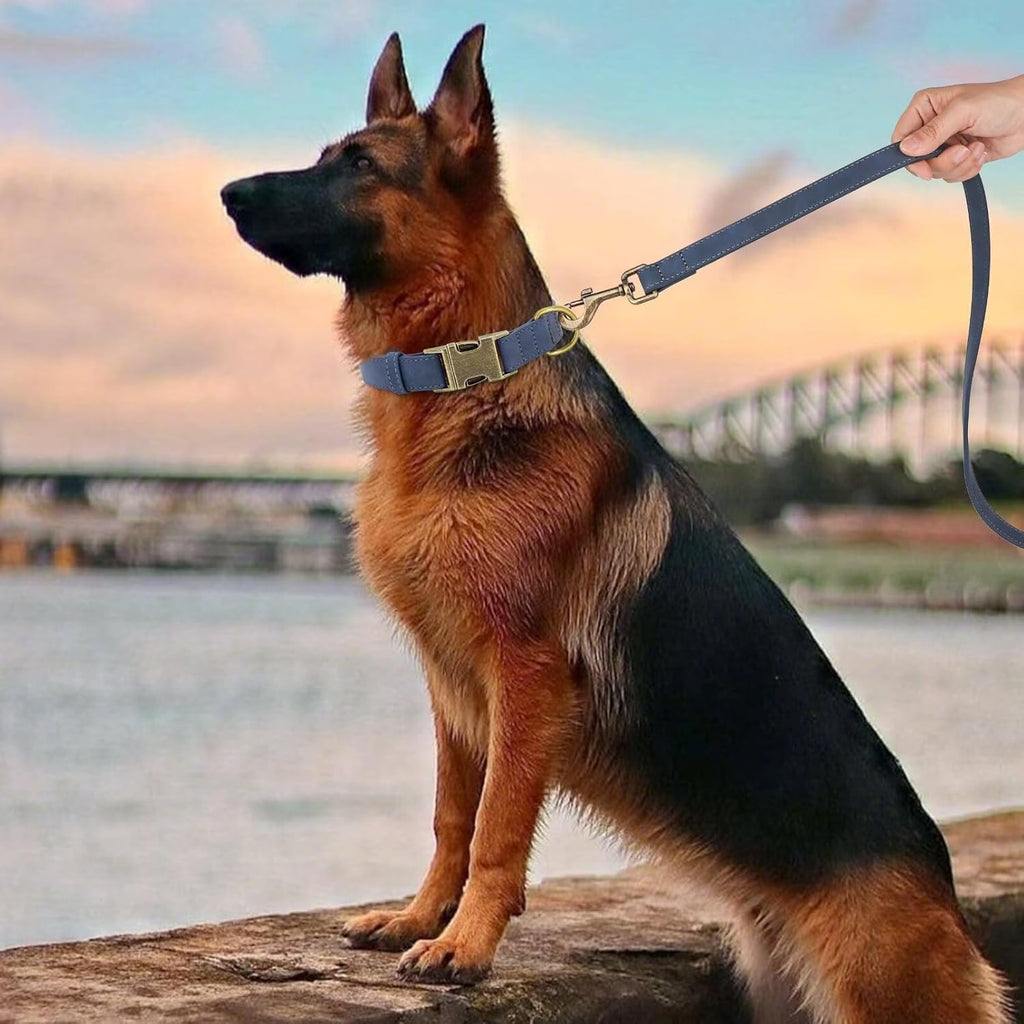 Didog Soft PU Leather Dog Collar, Stylish Quick Released Dog Collars for Large Dogs, Easy Clean Adjustable Pet Collar for Daily Walking, Blue, XL Fit 17-27" Neck