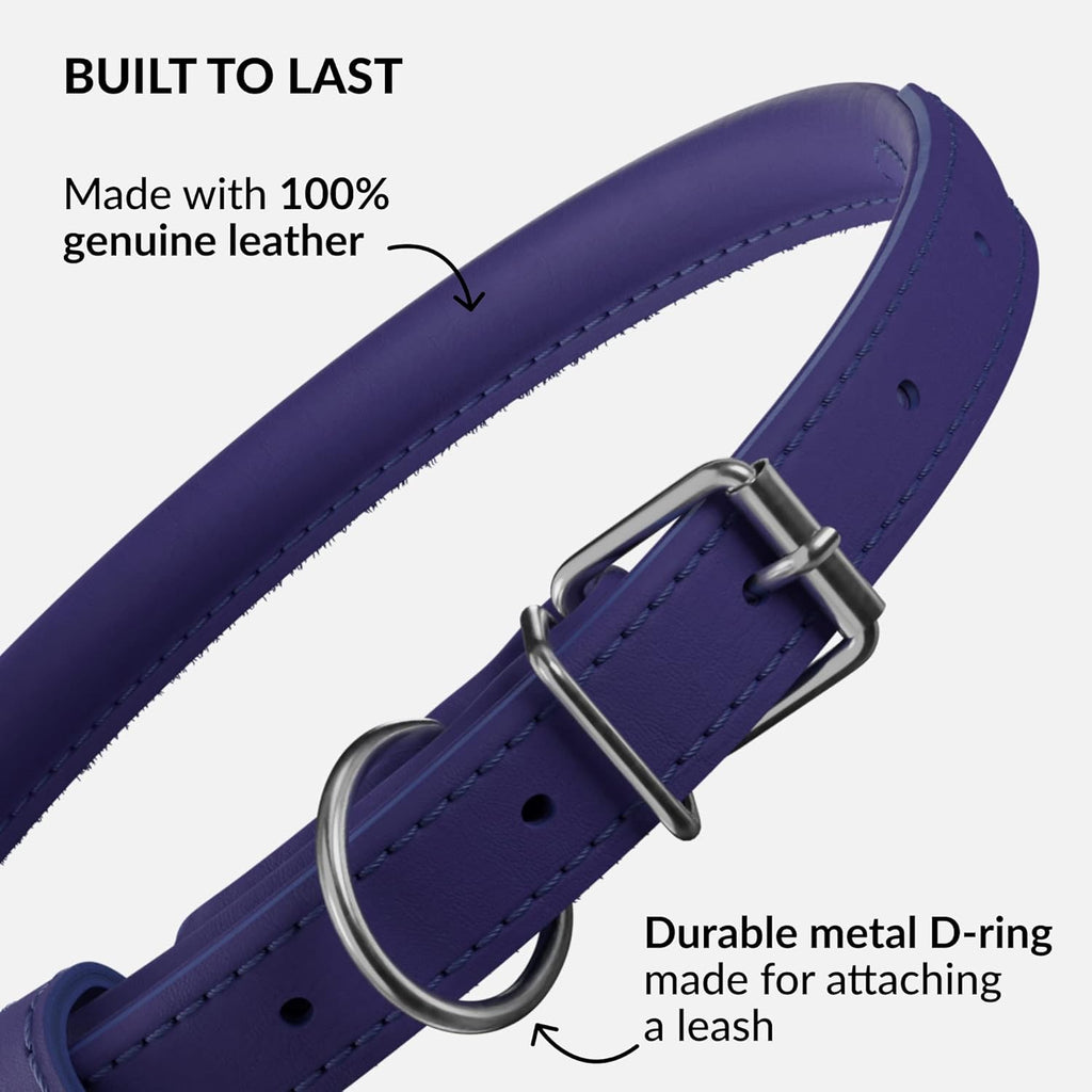 CollarDirect Rolled Leather Dog Collar, Soft Padded Round Puppy Collar, Handmade Genuine Leather Collar Dog Small Large Cat Collars 13 Colors (13-16 Inch, Purple Smooth)