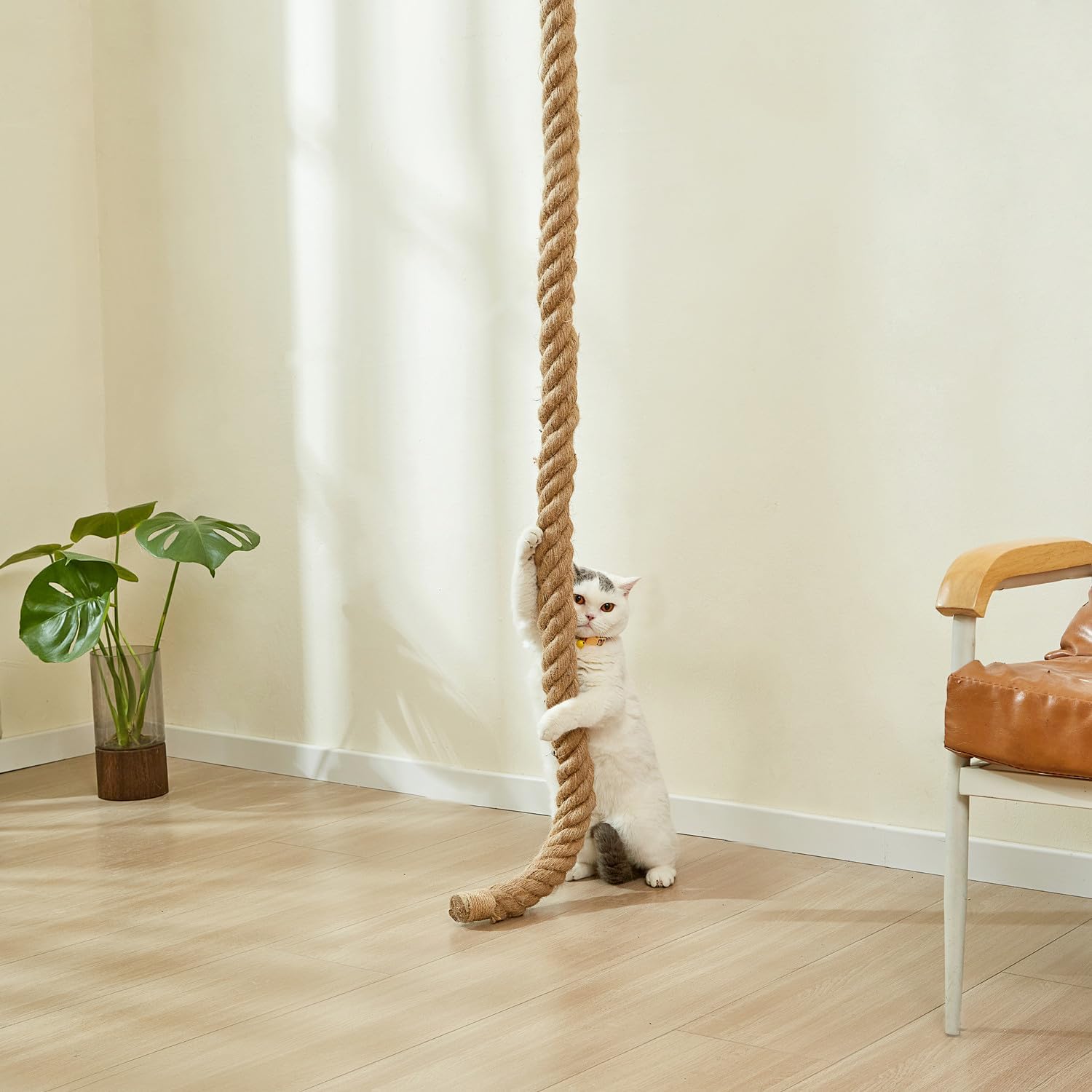 SHENGOCASE 1.9" x 8.9Ft Cat Climbing Jute Rope for Ceiling with Hook, Wall Mounted Furniture for Indoor and Outdoor Cats, Cimbing Pole (8.9 Feet)